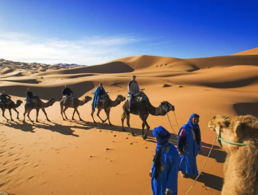 One Night with a Nomad Family in a Desert Village by Camel