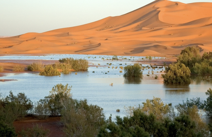 4x4 Excursion to Merzouga Lake (Dayet Srij)